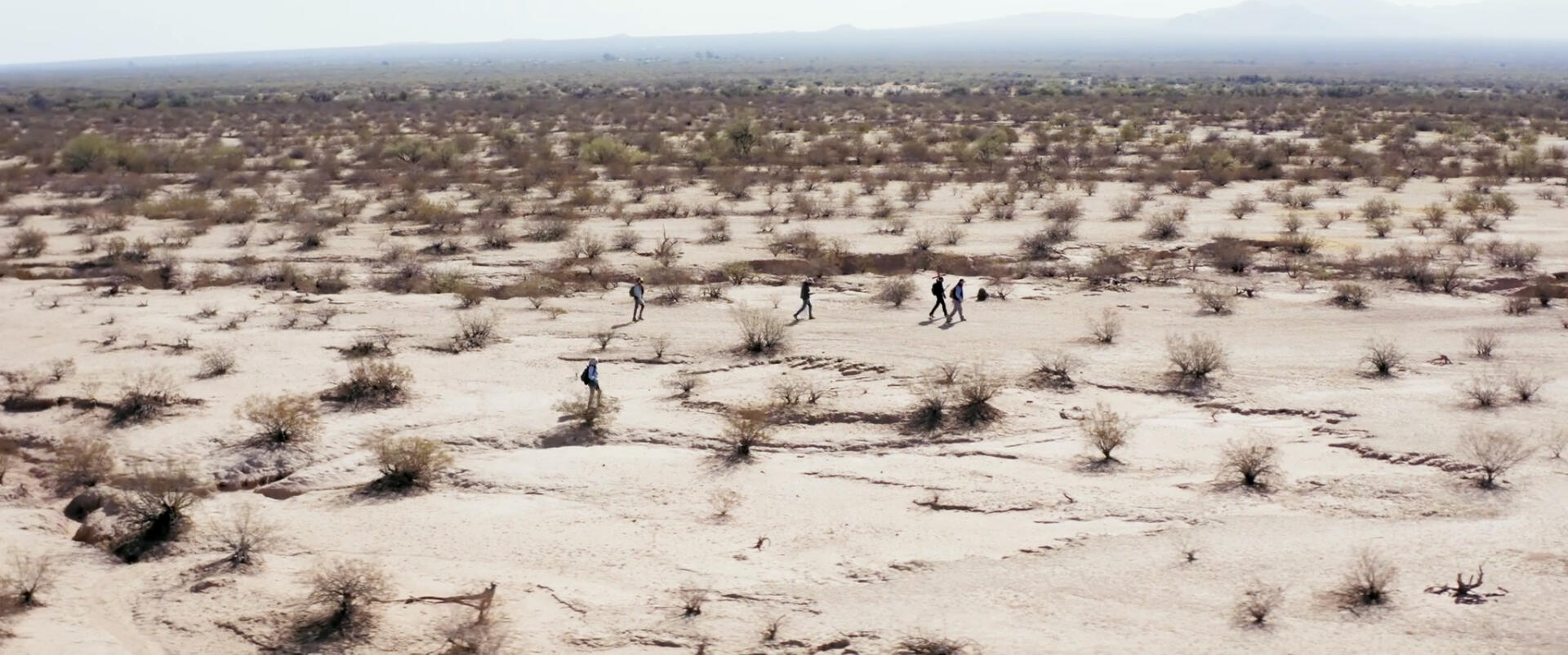 Alvaro searching the desert