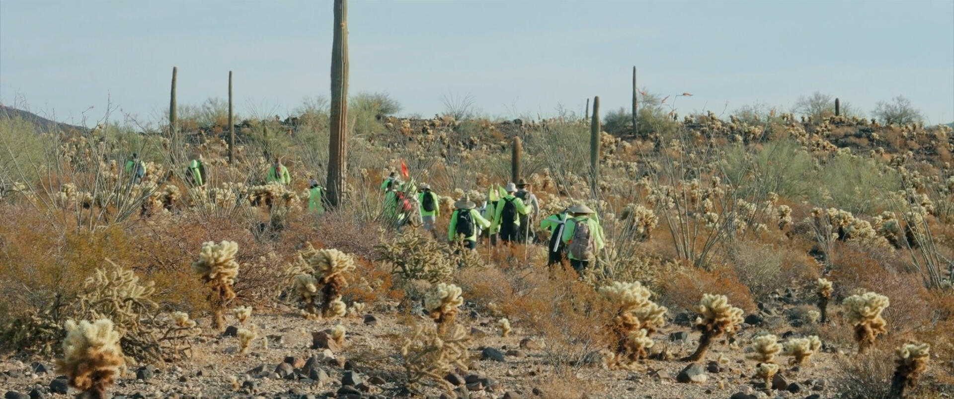 Aguilas doing a search for Valentín Aguilas doing a search for Valentín